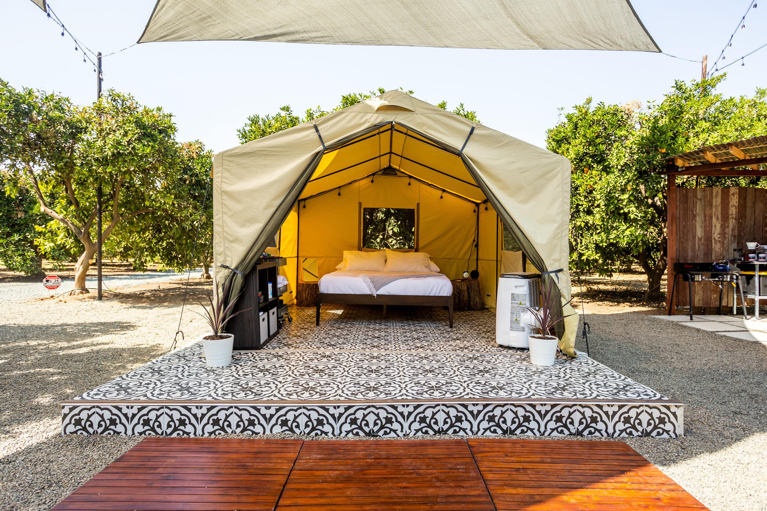 Grove Retreat tent among the orange trees
