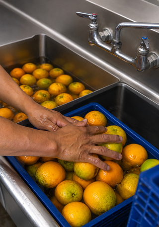 Fresh-Squeezed Valencia Orange Juice
