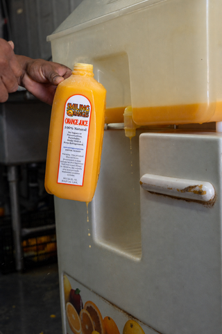 Fresh-Squeezed Valencia Orange Juice
