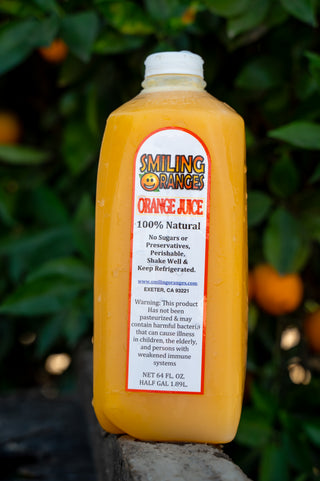 Fresh-Squeezed Valencia Orange Juice