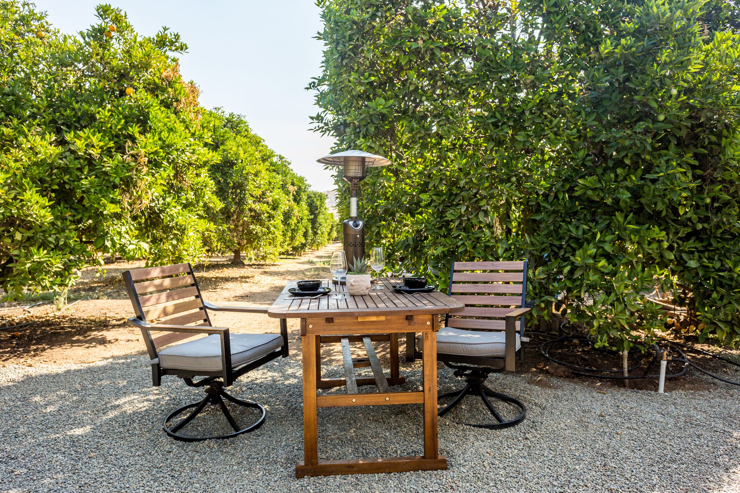 Dining table among orange trees at The Grove Retreat