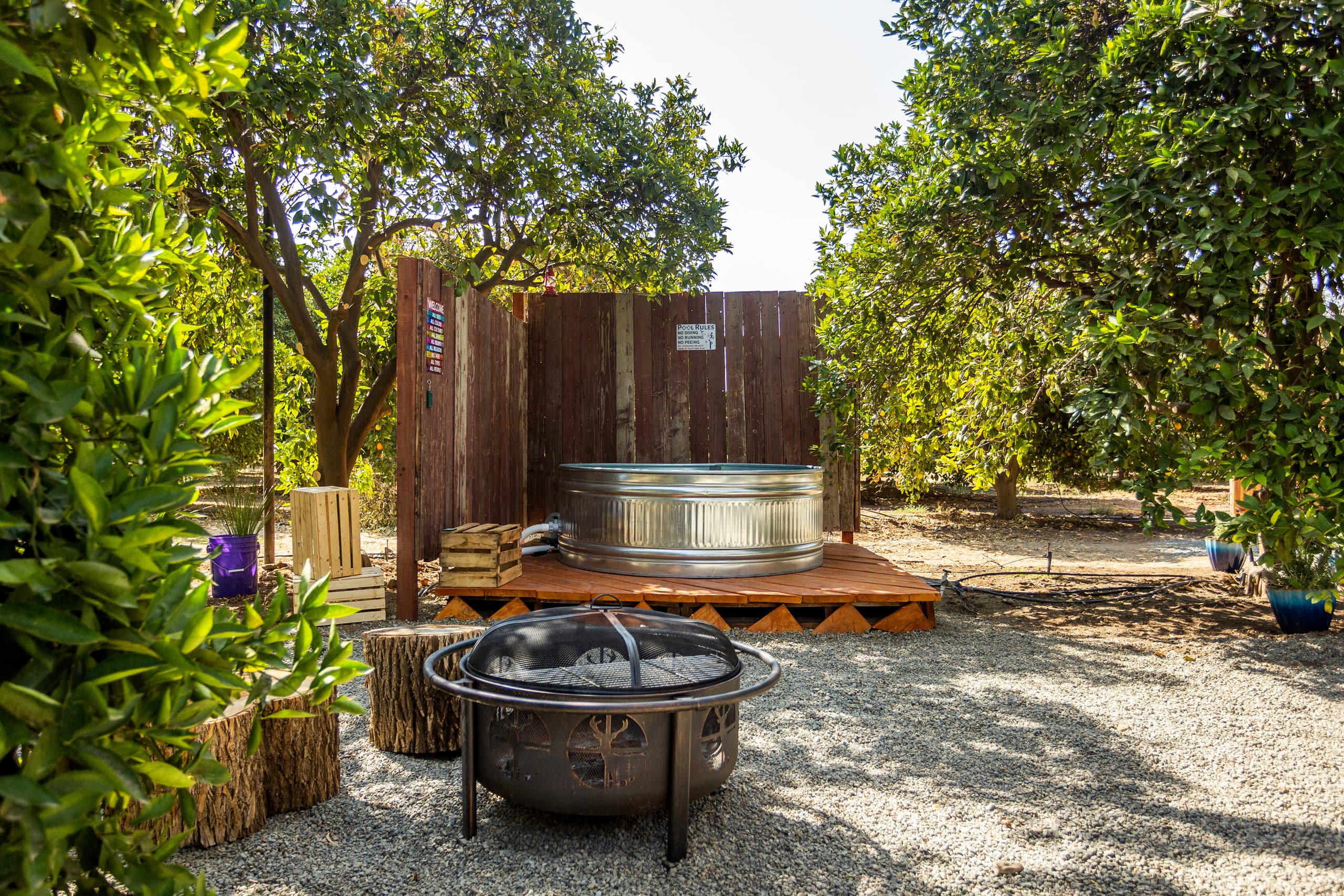 Fire pit and hot tub framed through the orchard